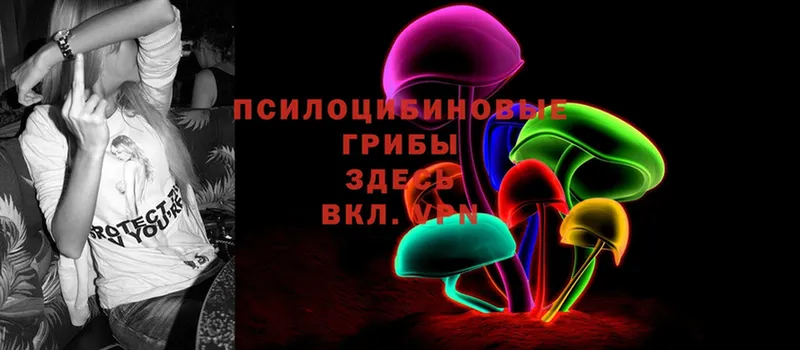 Псилоцибиновые грибы MAGIC MUSHROOMS  как найти   OMG   Демидов 